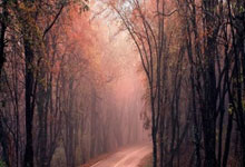 爱游戏体育：WTT新加坡大满贯：林诗栋／蒯曼今晚争混双冠军2025-02-07.