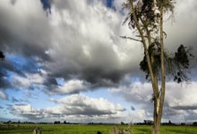 鲁迪-加西亚：卢卡库对团队很重要；比利时能成为伟大的球队.