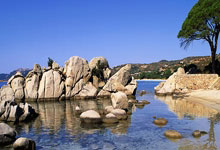 鲁迪-加西亚：卢卡库对团队很重要；比利时能成为伟大的球队.